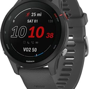 Garmin Forerunner® 255 cinza ardósia